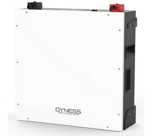 DYNESS LITHIUM BATTERY A48100 (48V100AH 4.8KWH)